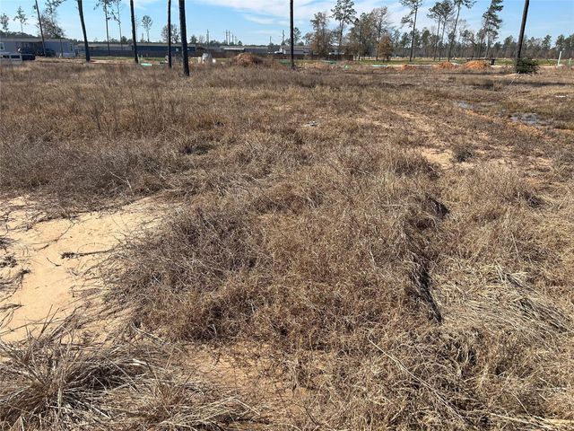 12228 Truchard Drive, Conroe, TX 77306