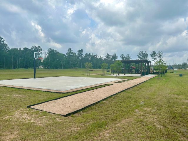 12228 Truchard Drive, Conroe, TX 77306