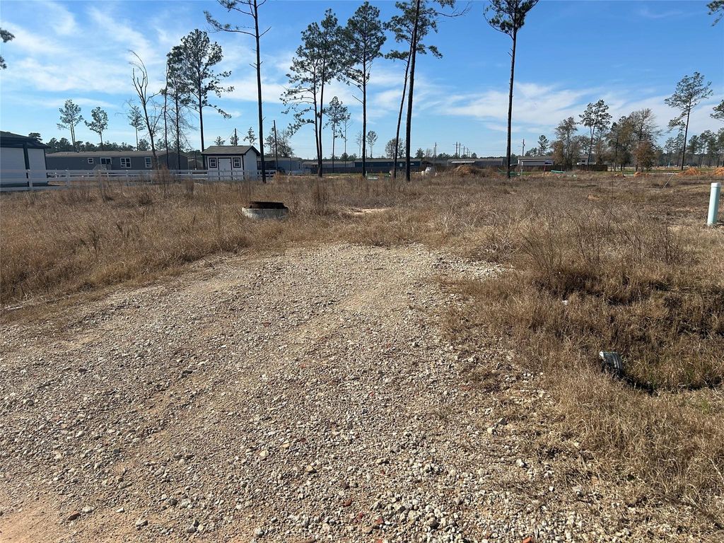 12228 Truchard Drive, Conroe, TX 77306