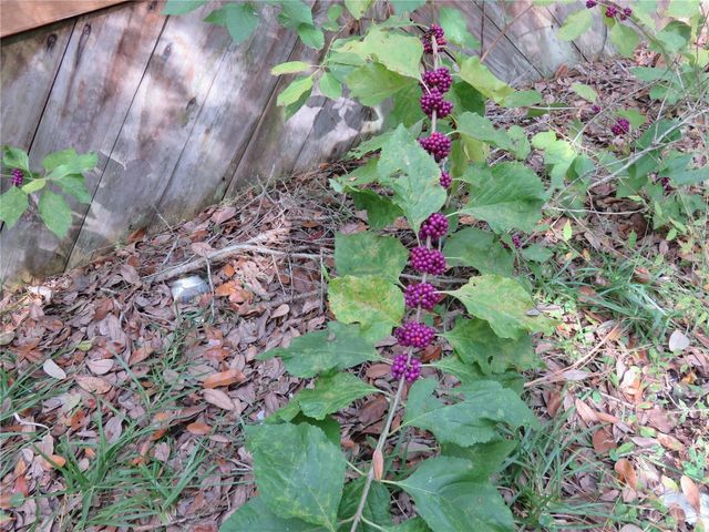 240 SE 165TH COURT ROAD, Silver Springs, FL 34488