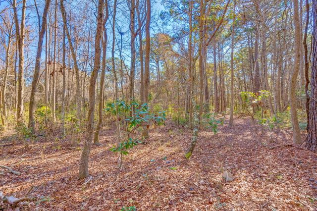 3149 Thomas Jones Road, Johns Island, SC 29455