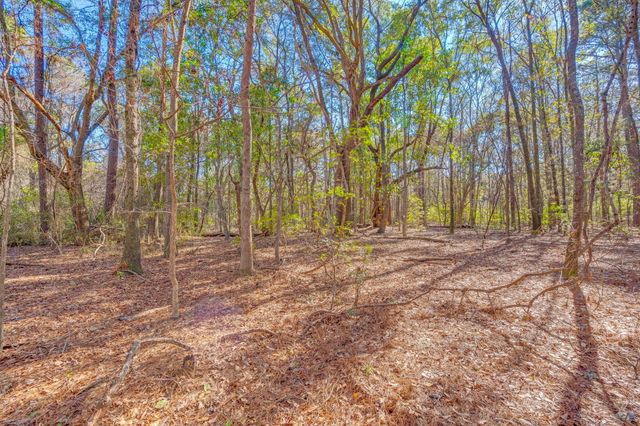 3149 Thomas Jones Road, Johns Island, SC 29455