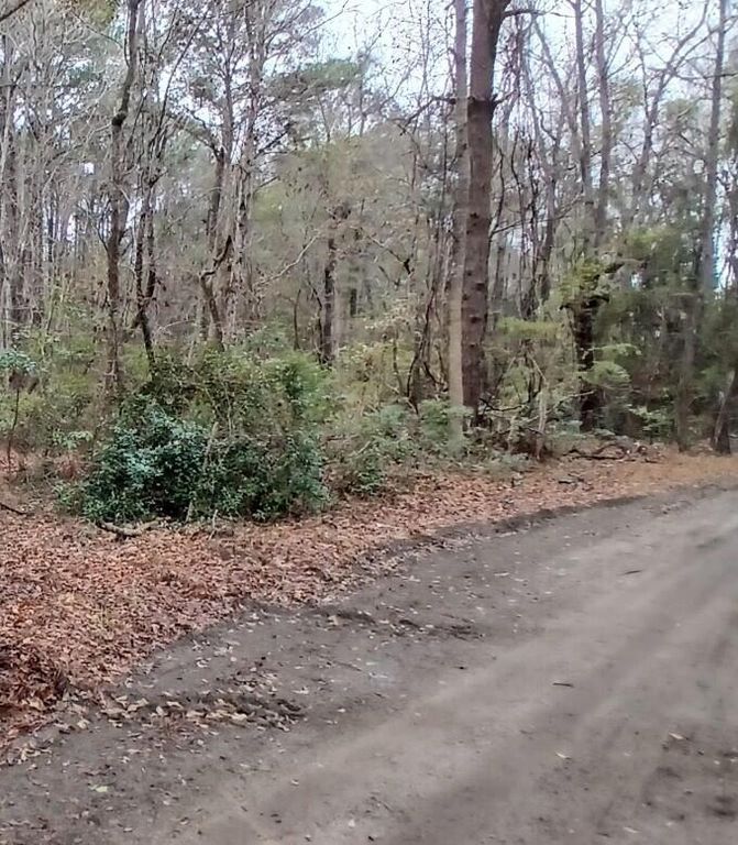 3149 Thomas Jones Road, Johns Island, SC 29455