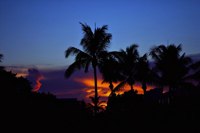 8404 Chapman Oak Court, Palm Beach Gardens, FL 33410