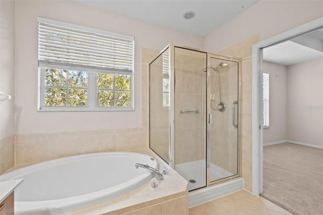 14545 MIRABELLE VISTA CIRCLE, Tampa, FL 33626