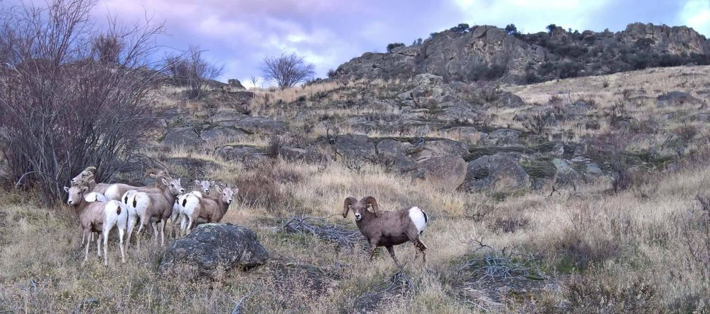 A-2 & A-3 Skyfire Drive, Hamilton, MT 59840 photo 5