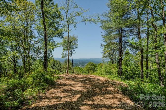 700 Elk Mountain Scenic Highway, Asheville, NC 28804