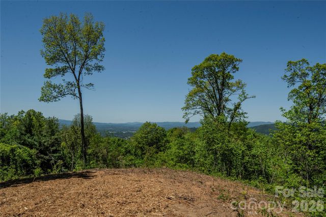 700 Elk Mountain Scenic Highway, Asheville, NC 28804