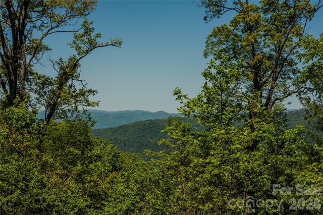 700 Elk Mountain Scenic Highway, Asheville, NC 28804