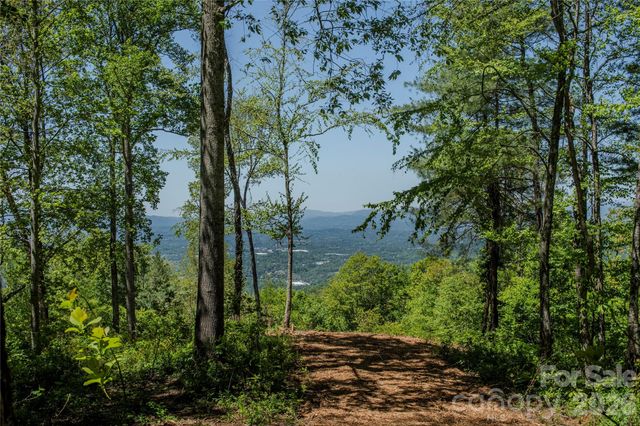700 Elk Mountain Scenic Highway, Asheville, NC 28804