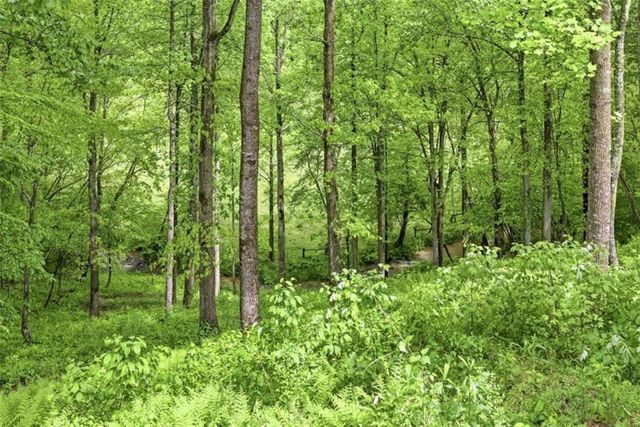 137 Thornwood Lane, Ellijay, GA 30540