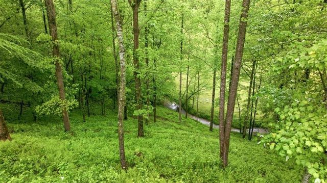 137 Thornwood Lane, Ellijay, GA 30540