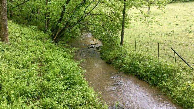 137 Thornwood Lane, Ellijay, GA 30540