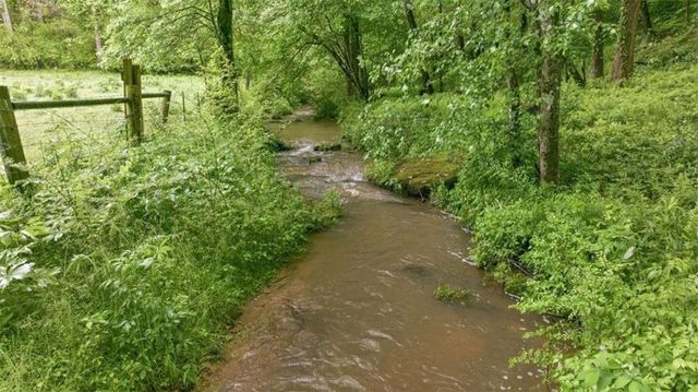 137 Thornwood Lane, Ellijay, GA 30540
