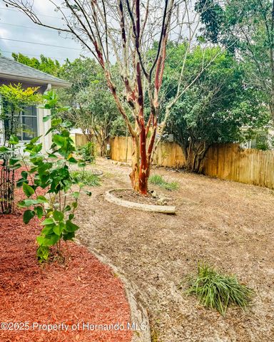 3095 coronet Court, Spring Hill, FL 34609