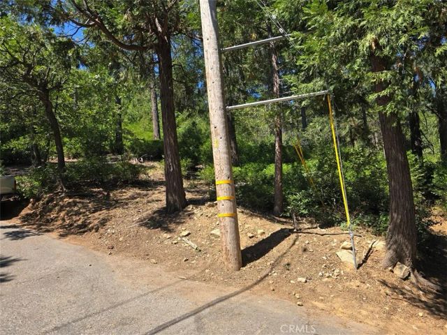 0 Lovers, Cedarpines Park, CA 92322