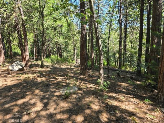 0 Lovers, Cedarpines Park, CA 92322
