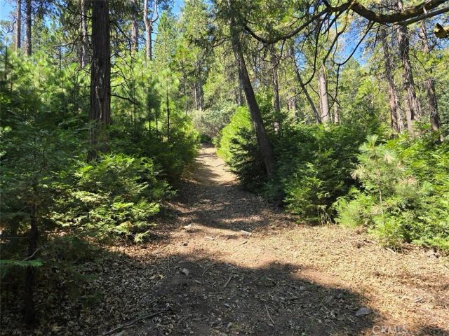0 Lovers, Cedarpines Park, CA 92322