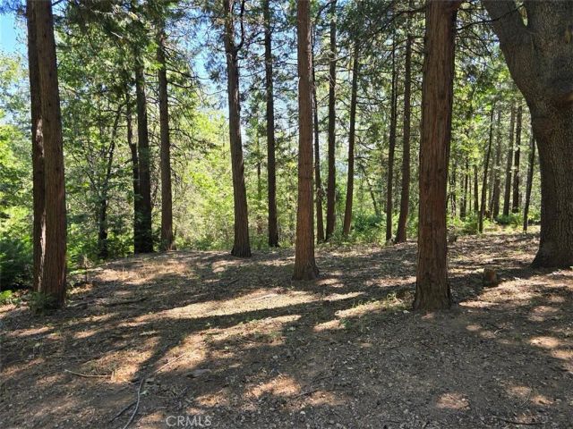 0 Lovers, Cedarpines Park, CA 92322