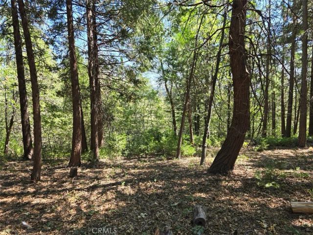 0 Lovers, Cedarpines Park, CA 92322