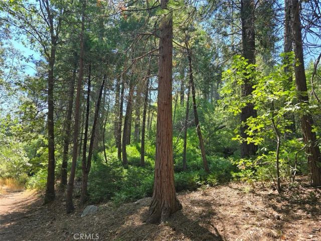 0 Lovers, Cedarpines Park, CA 92322