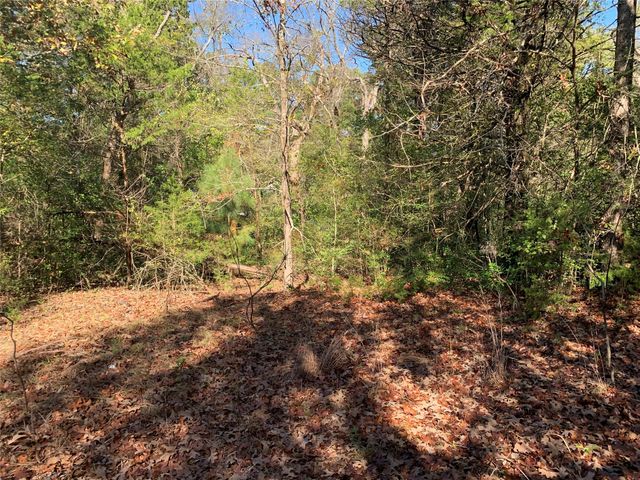 905 W Cayuga Drive, Athens, TX 75751