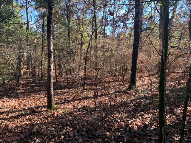 905 W Cayuga Drive, Athens, TX 75751