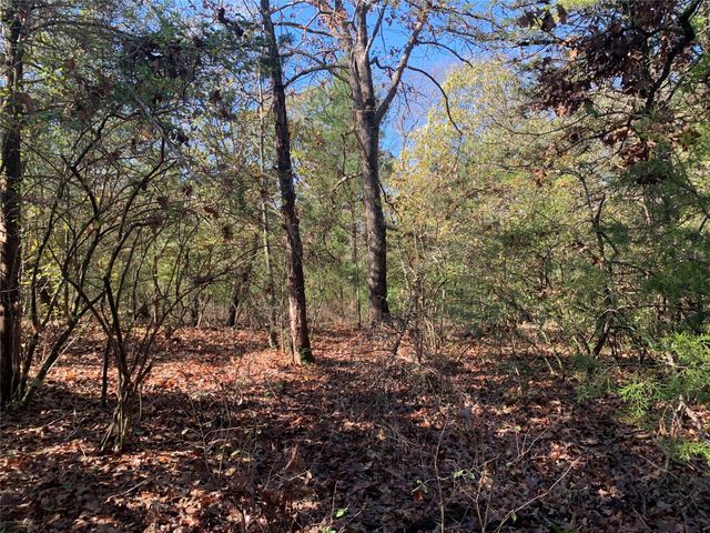 905 W Cayuga Drive, Athens, TX 75751