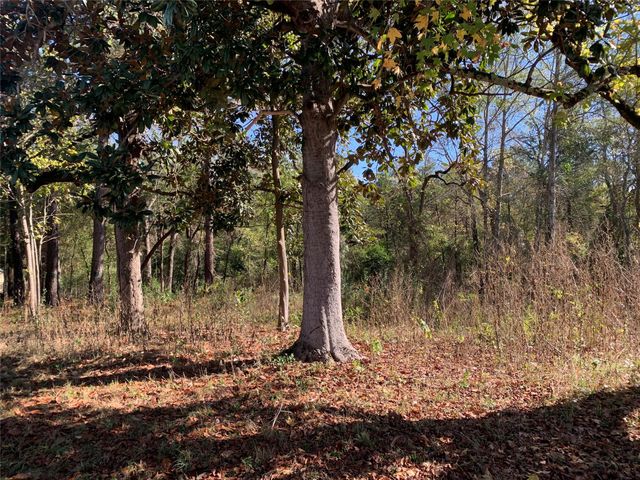 905 W Cayuga Drive, Athens, TX 75751