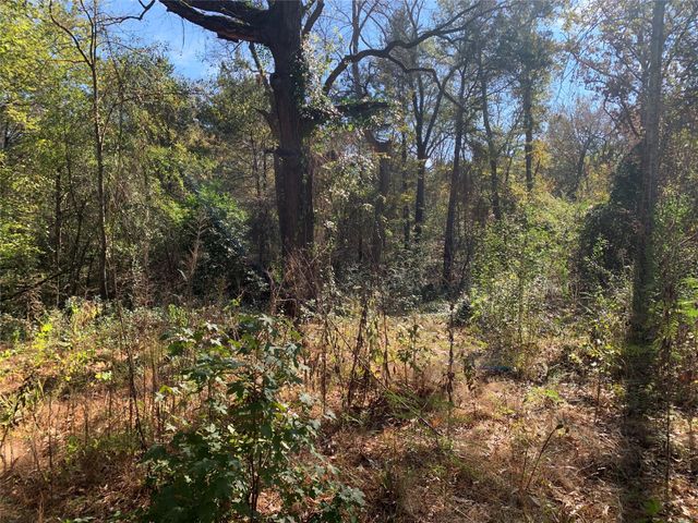 905 W Cayuga Drive, Athens, TX 75751