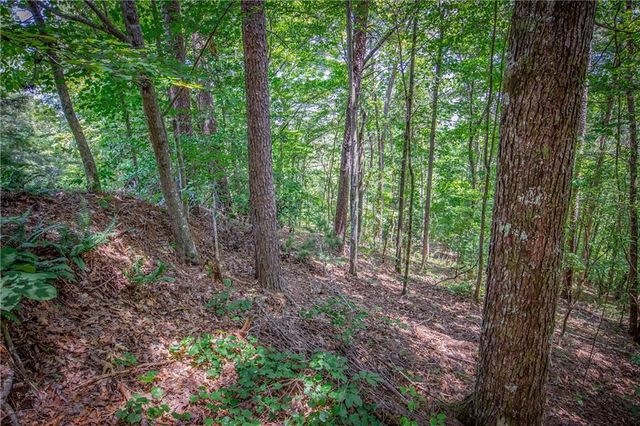 4.7AC Mountain Creek Hollow Drive, Talking Rock, GA 30175