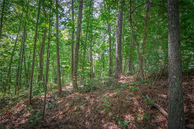 4.7AC Mountain Creek Hollow Drive, Talking Rock, GA 30175