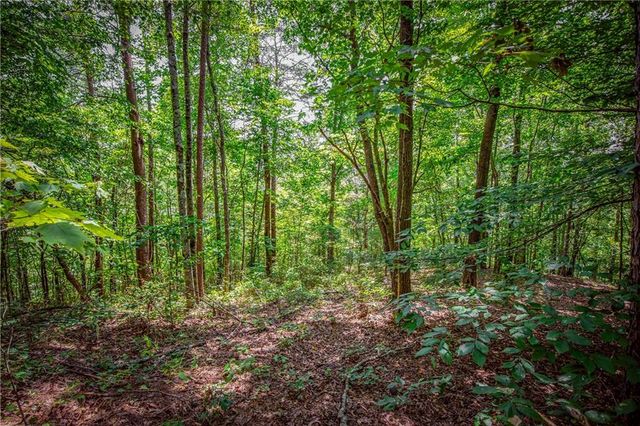 4.7AC Mountain Creek Hollow Drive, Talking Rock, GA 30175
