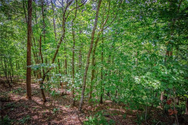 4.7AC Mountain Creek Hollow Drive, Talking Rock, GA 30175