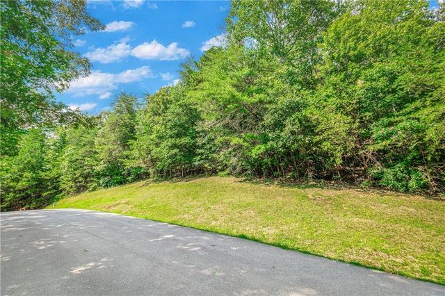 4.7AC Mountain Creek Hollow Drive, Talking Rock, GA 30175