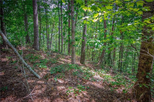 4.7AC Mountain Creek Hollow Drive, Talking Rock, GA 30175