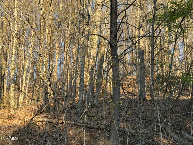 Tbd Possum Hollow Road, Johnson City, TN 37615