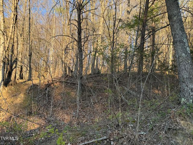 Tbd Possum Hollow Road, Johnson City, TN 37615