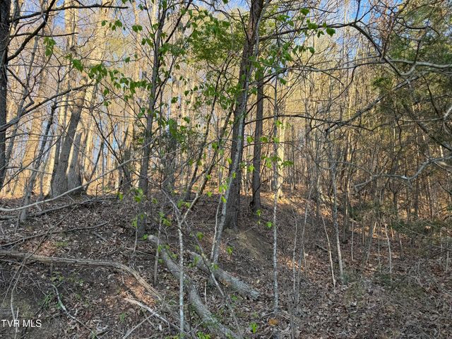 Tbd Possum Hollow Road, Johnson City, TN 37615