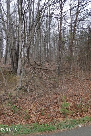 Tbd Possum Hollow Road, Johnson City, TN 37615