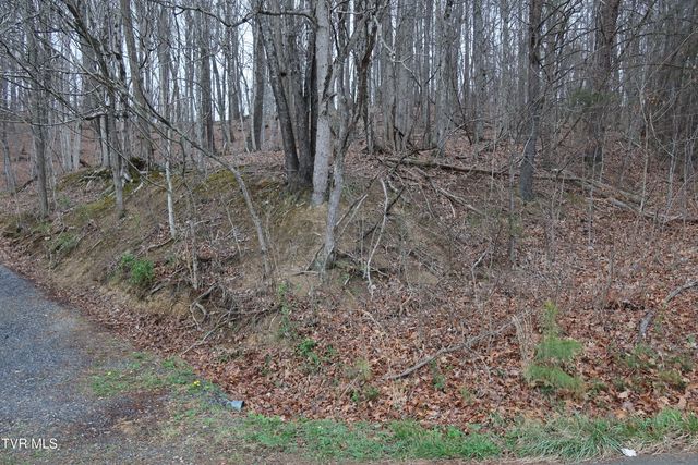 Tbd Possum Hollow Road, Johnson City, TN 37615