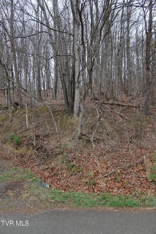 Tbd Possum Hollow Road, Johnson City, TN 37615