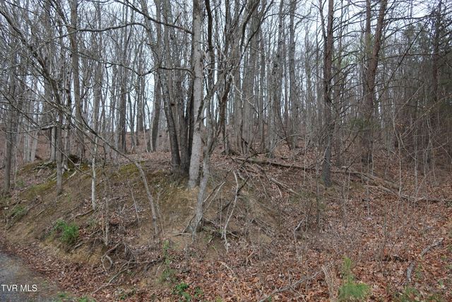 Tbd Possum Hollow Road, Johnson City, TN 37615