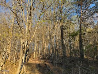 Tbd Possum Hollow Road, Johnson City, TN 37615