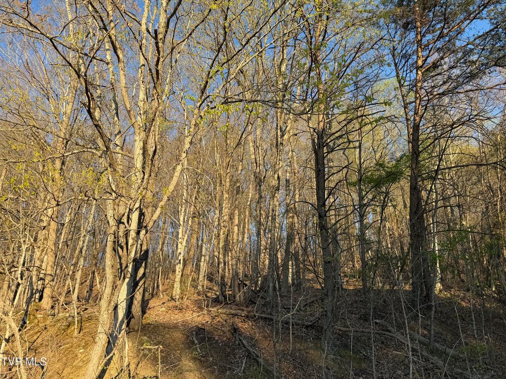 Tbd Possum Hollow Road, Johnson City, TN 37615