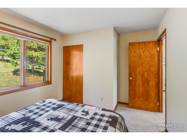 1070 Crestview Ct 4, Estes Park, CO 80517