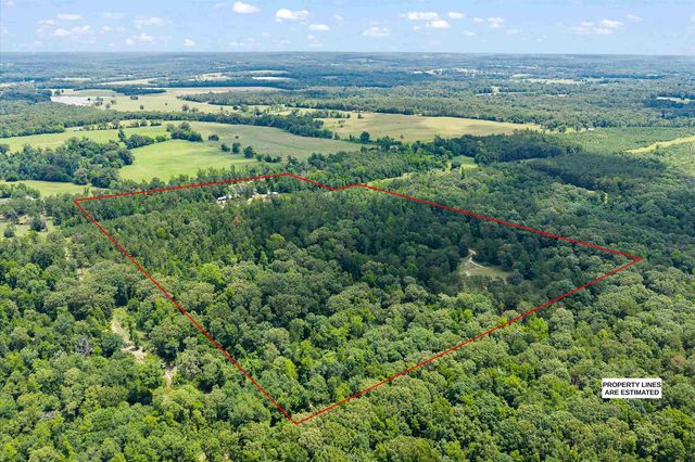 3077 W CR 436, Laneville, TX 75667