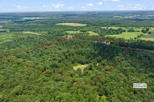 3077 W CR 436, Laneville, TX 75667