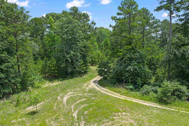 3077 W CR 436, Laneville, TX 75667
