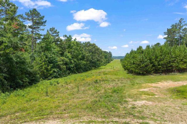 3077 W CR 436, Laneville, TX 75667